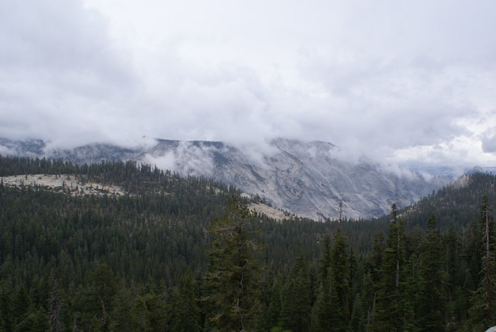 Yosemite Fog